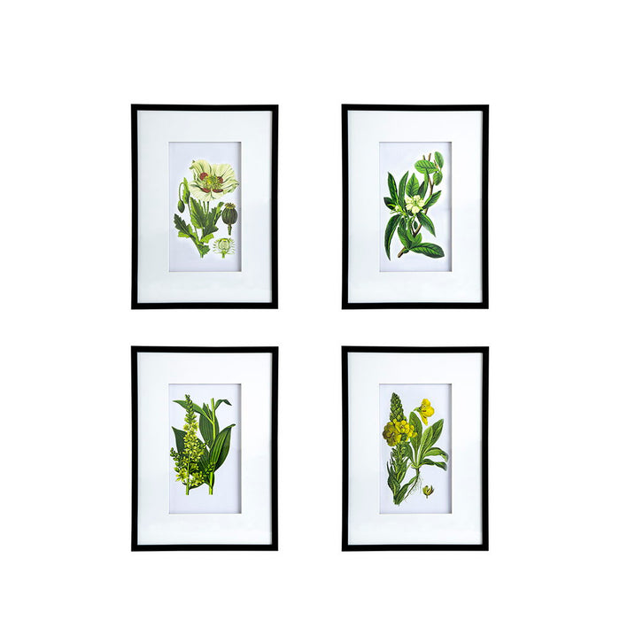 Botanical Flower Wall Art, Home Decor For Living Room, Dining Room, Bedroom, Hallway (Set of 4) - White / Blue