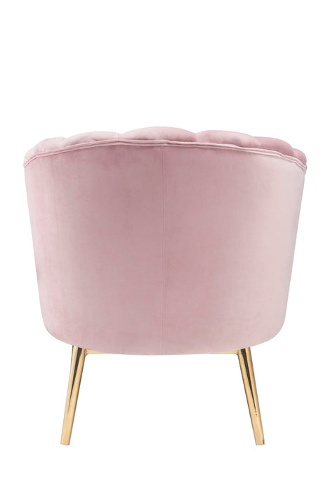 Colla - Blush Velvet Gold Accent Chair - Pink