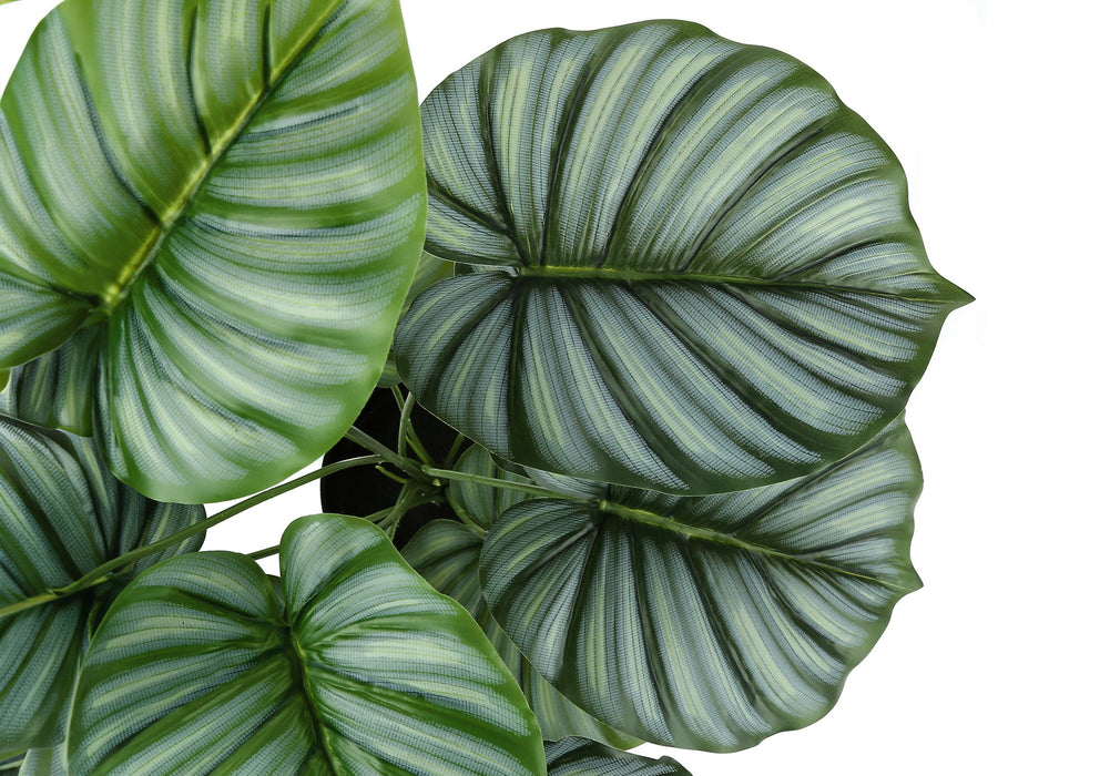 Artificial Plant, 24" Tall, Calathea, Indoor, Faux, Fake, Table, Greenery, Potted, Real Touch, Decorative - Green / Black