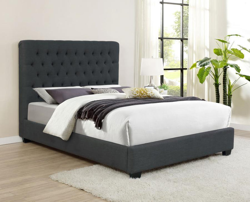 Chloe - Upholstered Panel Bed