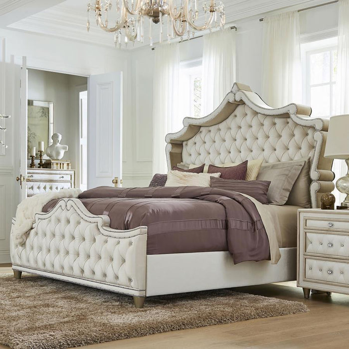 Antonella - Upholstered Panel Bed