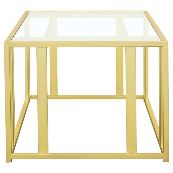 Adri - Metal Frame Coffee Table