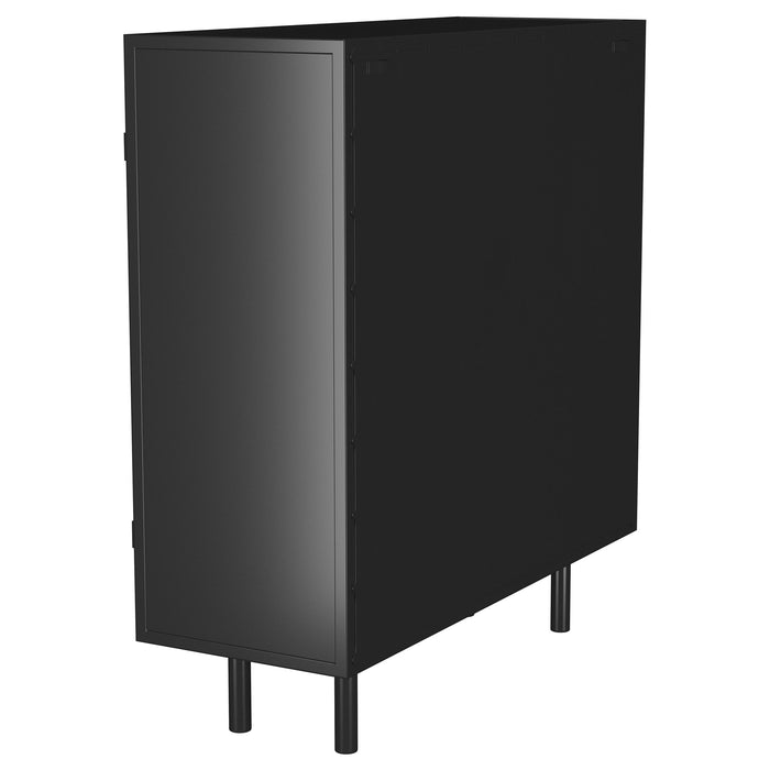 Dalia - 2-Door Accent Storage Cabinet With Shelving - Black