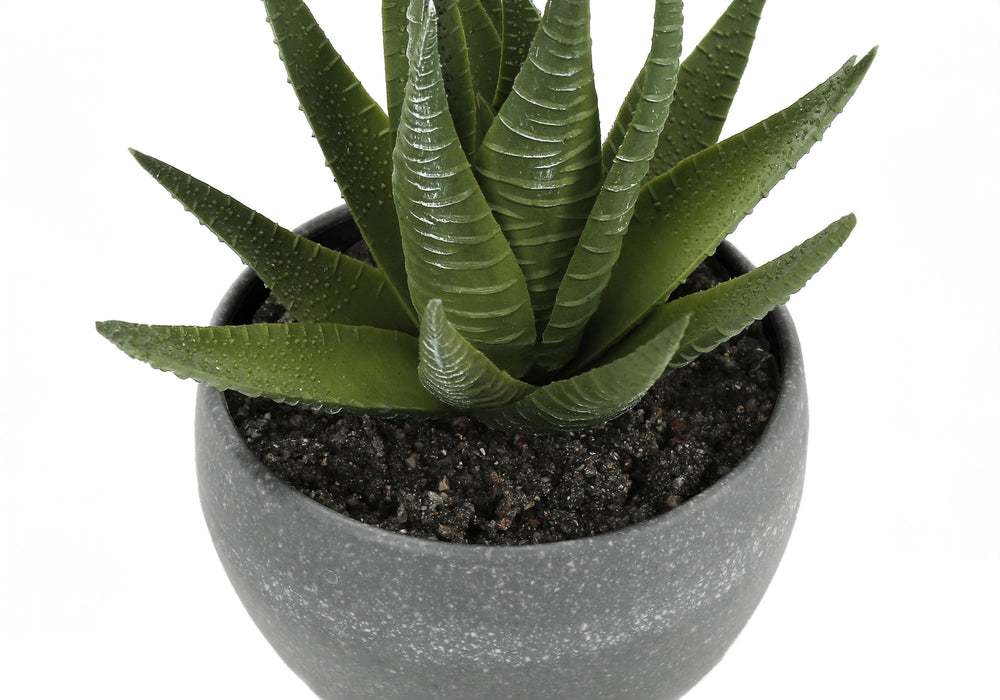 Artificial Plant, 6" Tall, Succulent, Indoor, Faux, Fake, Table, Greenery, Potted, Decorative (Set of 3) - Green / Gray