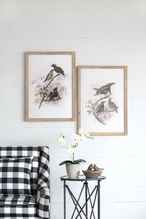 Bird Framed Print (Set of 2) - Multicolor