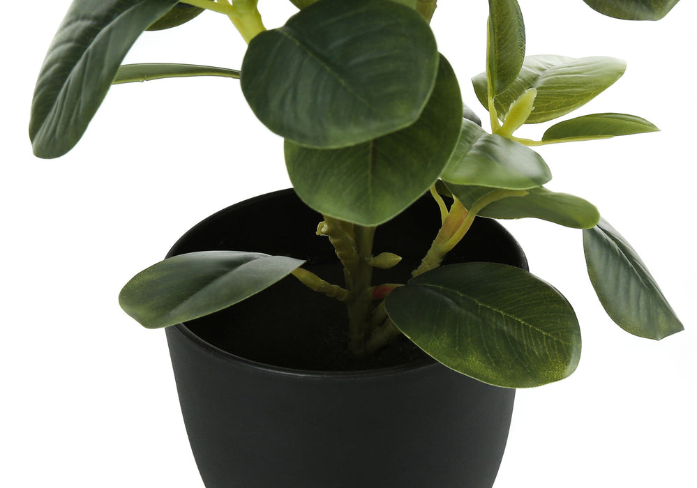 Artificial Plant, 14" Tall, Ficus, Indoor, Faux, Fake, Table, Greenery, Potted, Decorative (Set of 2) - Green / Black