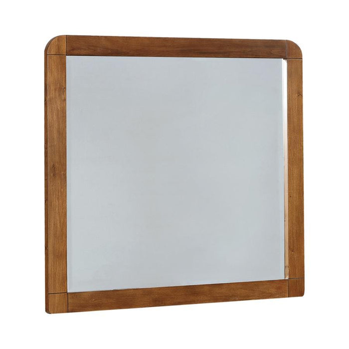 Robyn - Robyn Rectangular Mirror Dark Walnut